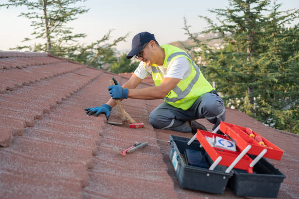 Best Cold Roofs  in Manchester, GA